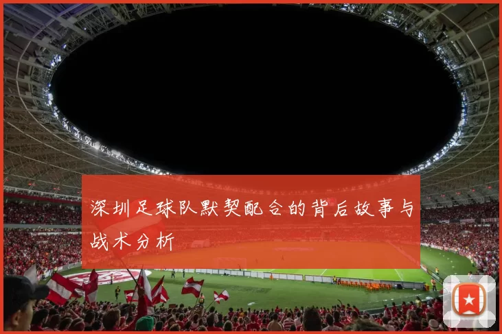 深圳足球队默契配合的背后故事与战术分析