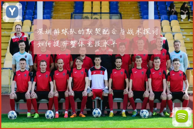 深圳排球队的默契配合与战术探讨如何提升整体竞技水平